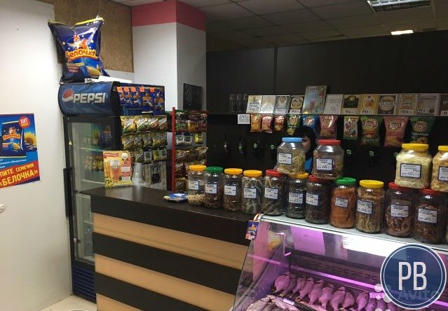 Пивной магазин с отдельным входом