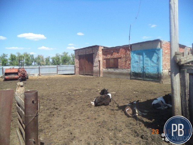 Продаю дом- готовая ферма