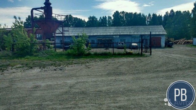 Пилорама