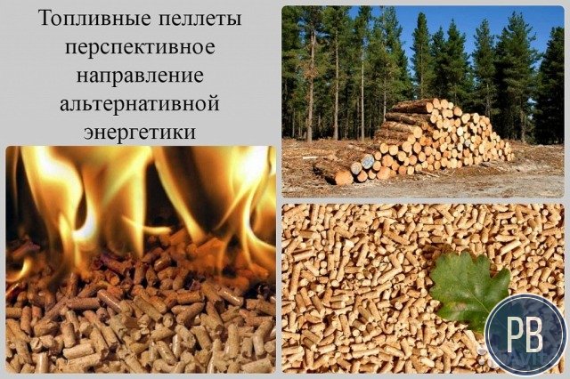 Действующий Завод по производству пеллет