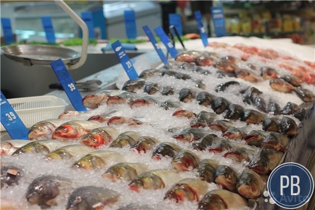 Магазин по продаже рыбы и морепродуктов