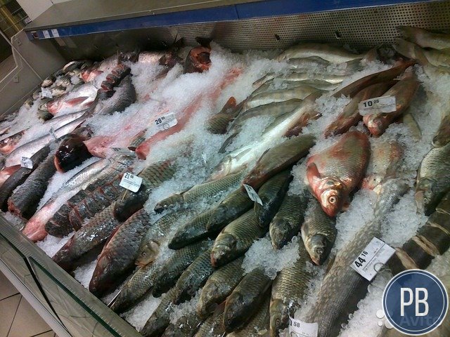 Рыбная точка