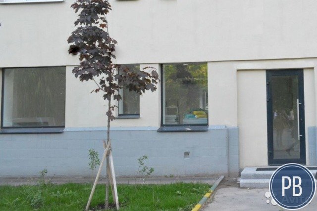 Торговое помещение, 65.3 м²