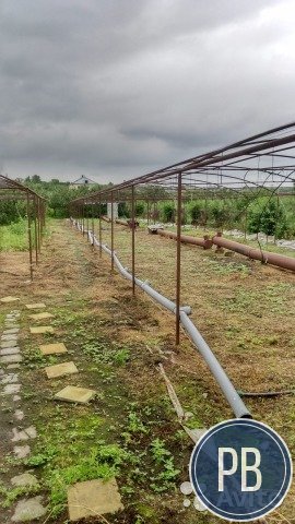 Теплица