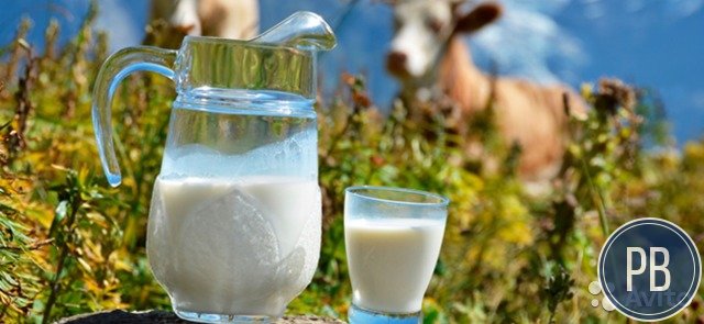 Продаю бизнес производство молочной продукции