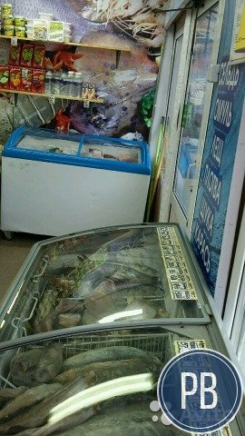 Рыбная лавка