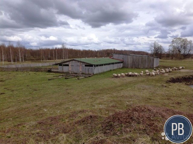 Ферма на 60 гектарах
