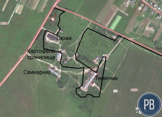Продаю бывший колхоз