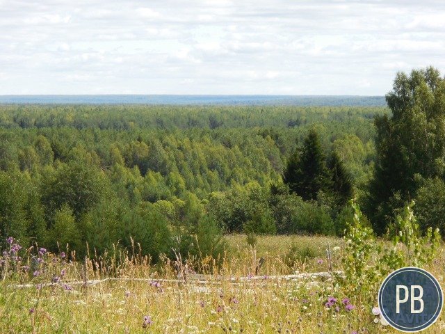 Продаю лесоперерабатывающее предприятие