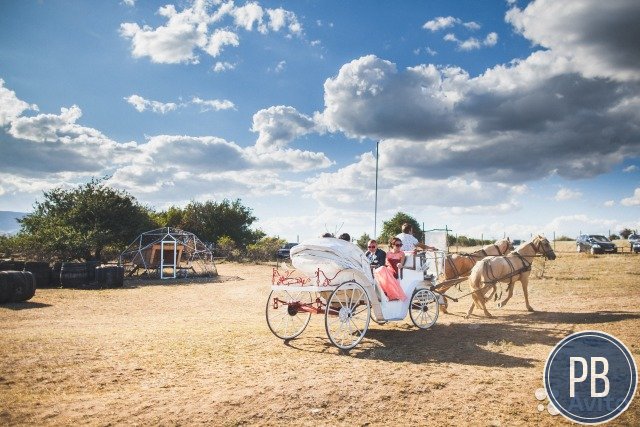 Продажа сафари-парка в Крыму