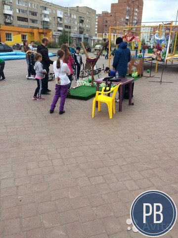 Готовый бизнес Angry Birds