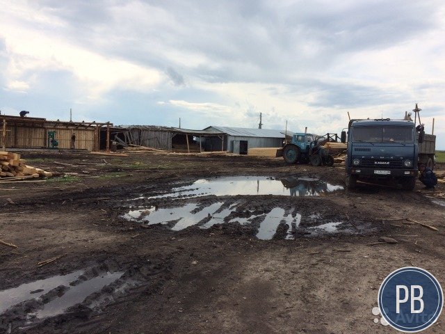 Пилорама