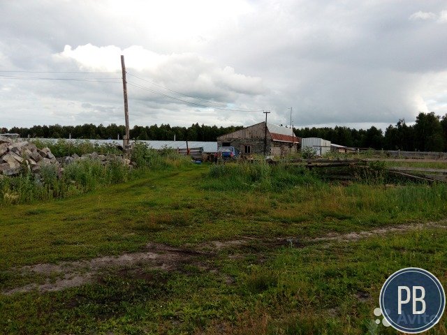 Свинокомплекс