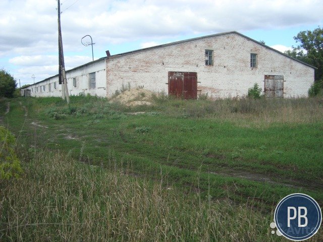 Продается кролеферма