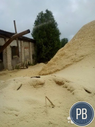 Готовый бизнес по производству черенков