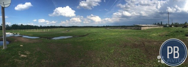 Продаю ферму