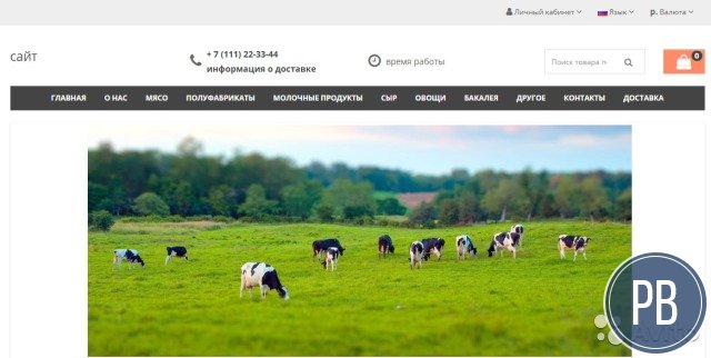 Готовый сайт для интернет-магазина