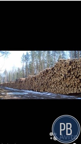 Продаю Лесфонд