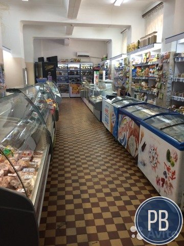 Продаю действующий продуктовый магазин 355 кв