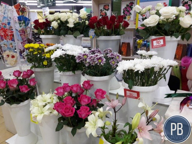 Продаю раскрученный магазин цветов в сзр