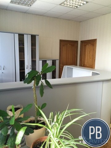 Офисное помещение, 142 м²