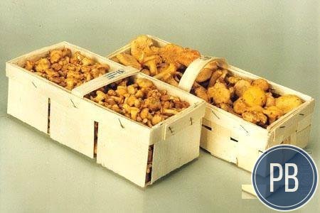 Корзинки из шпона осины для упаковки грибов, ягод