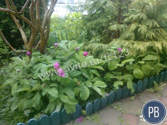 Отель 680 м²