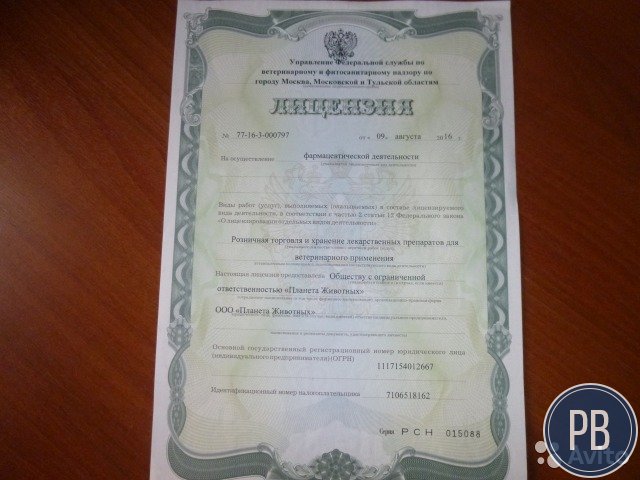 Готовое ооо