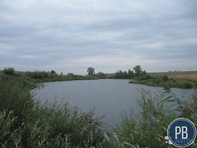 Фермерское хозяйство (Готовый бизнес)