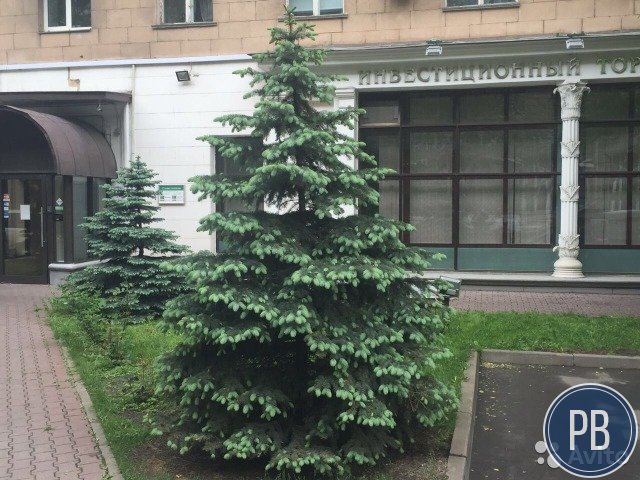 Торговое помещение, 300 м²