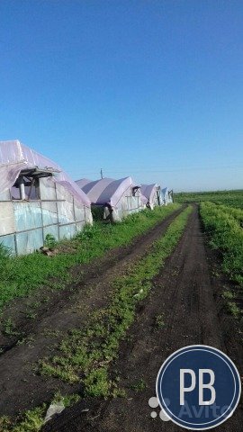 Теплицы продаю