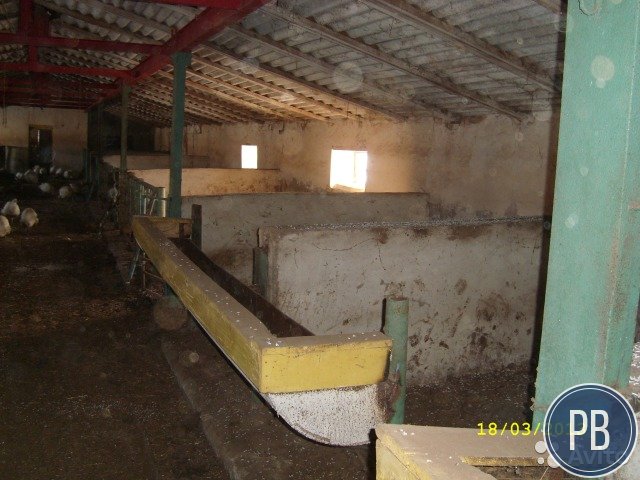 Ферма (телятник)
