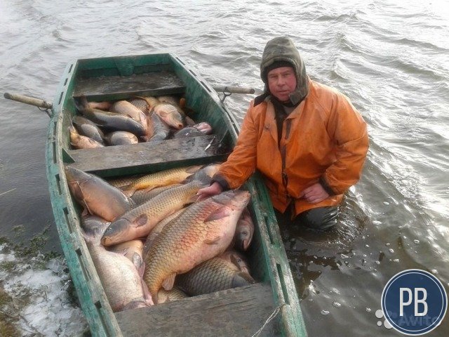 Прудовое хозяйство 35 гектар в собственности