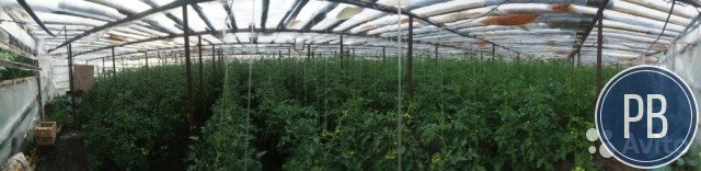 Продаётся работающая теплица в Туймазинском районе