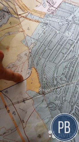 Ищем партнера в сельское хозяйство