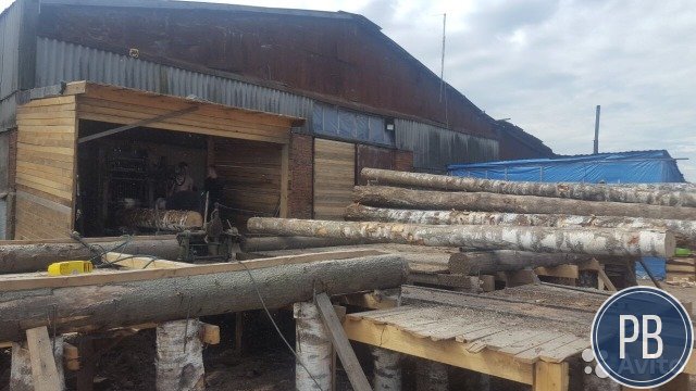 Продаю производство черенков