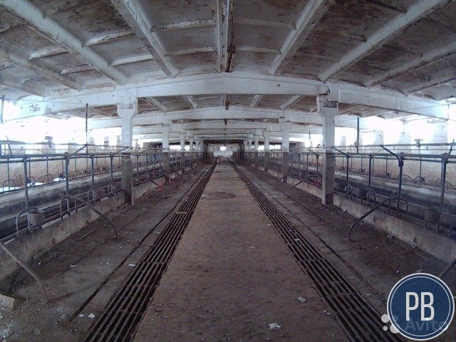 Производственное помещение, 2000 м²