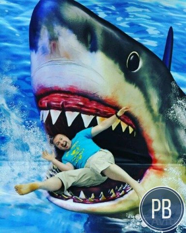 Готовая выставка Оптических иллюзий и 3d картин