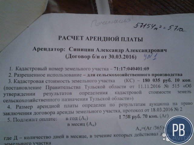 Чесночный бизнес