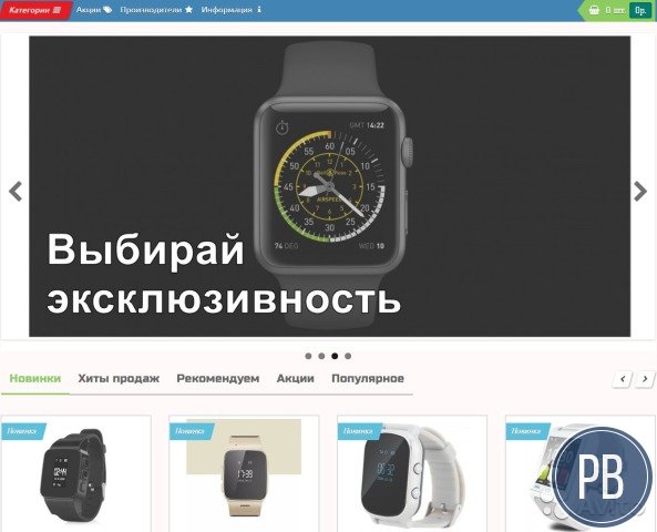 Действующий интернет-магазин с прибылью 100 000 р