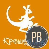 Франшиза 