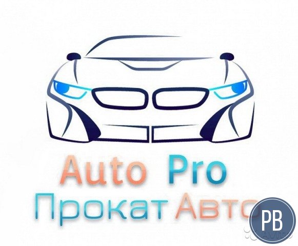 Действующий автопрокат со 100-процентной загрузкой
