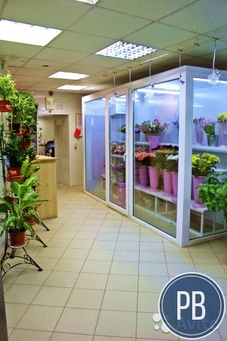 Готовый магазин Цветы