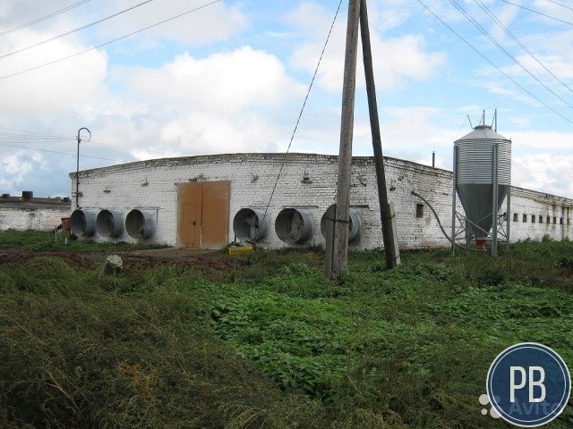 Перспективный птицекомплекс