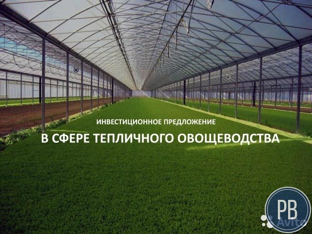 Тепличный бизнес
