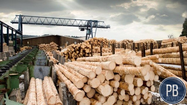 Лесопилка полного цикла. Налаженный бизнес