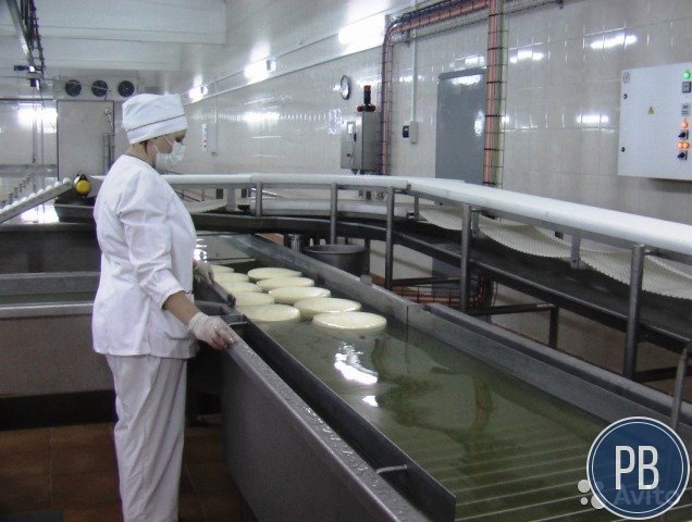 Производство сыров и сопутствующей продукции