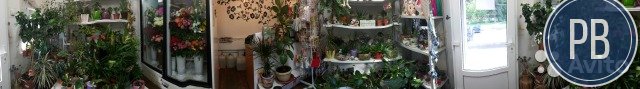 Продаю готовый бизнес, цветочный павильон